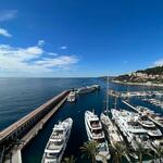 Amazing high standing apartment in Fontvieille - 2