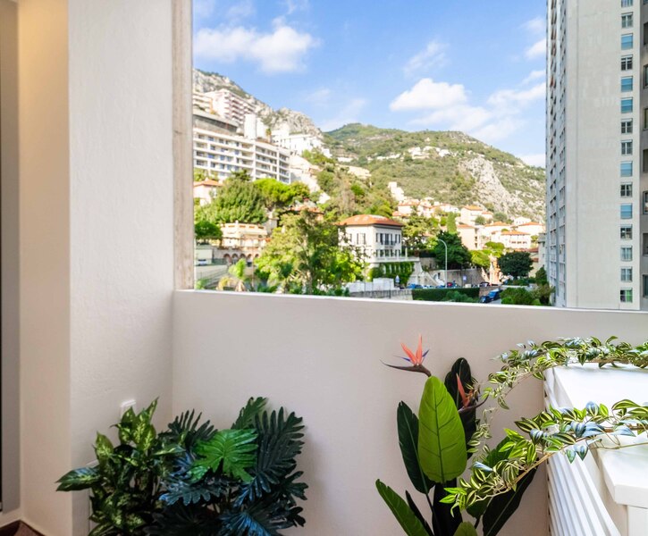MAGNIFIQUE APPARTEMENT TRAVERSANT 4 PIECES