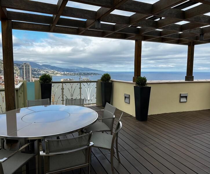 MAGNIFIQUE 3 PIÉCES TOIT TERRASSE - VILLA LES PINS