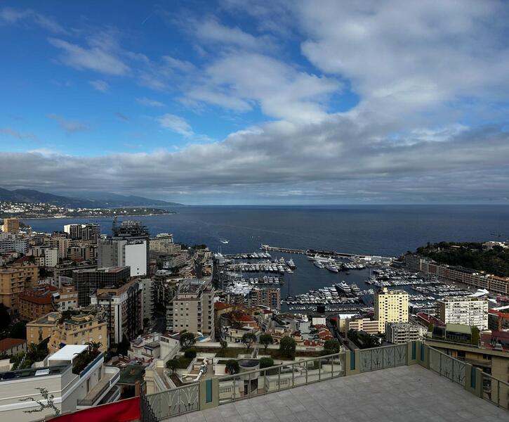 MAGNIFIQUE 3 PIÉCES TOIT TERRASSE - VILLA LES PINS