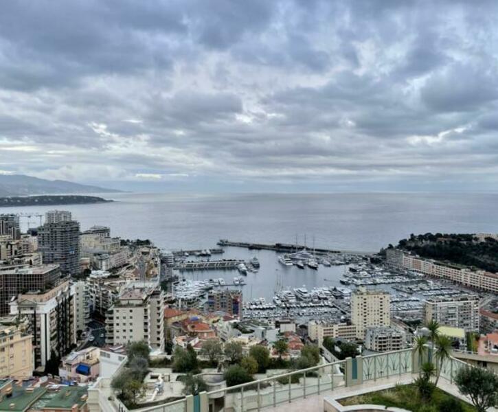 MAGNIFICA TERRAZZA SUL TETTO DI 3 STANZE - VILLA LES PINS