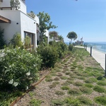 MAGNIFIQUE 3 PIÈCES  - JARDIN EXOTIQUE