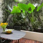 GRAND DUPLEX - STELLA - 4